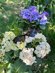 Tagi. Love Sunglasses