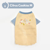 Tagi. Haha& Popcorn Pet Raglan Stripe T-shirt