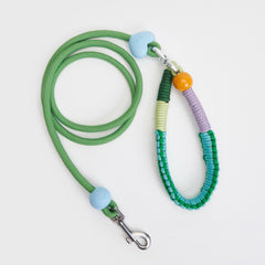 Tagi. Imagine Apple Pet Harness, Collar and Leash