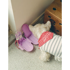 Tagi. Inspire Strawberry Portable Pet Bowl