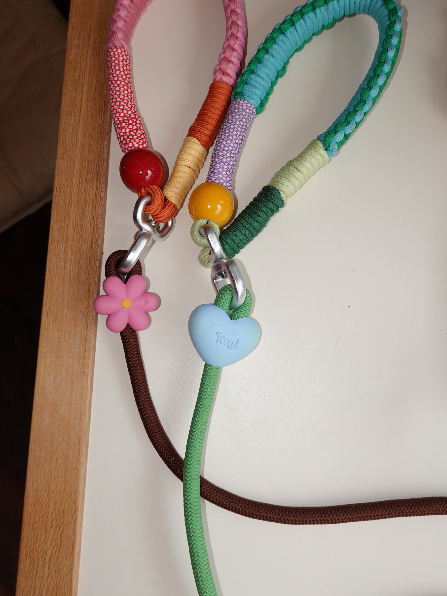 Tagi. Imagine Apple Pet Harness, Collar and Leash