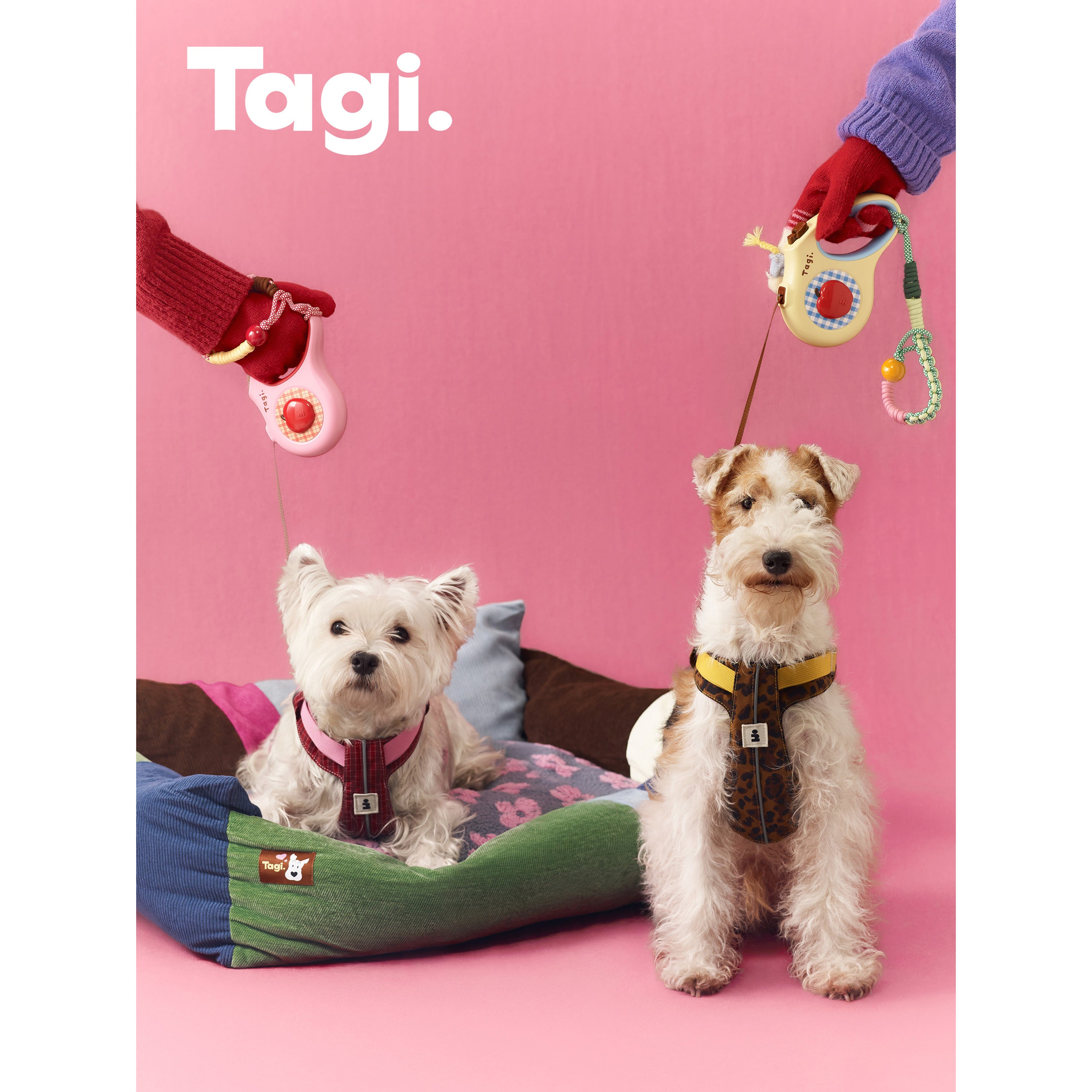 Tagi. Imagine Apple Pet Retractable Leash and Pet Leash Wrist Strap