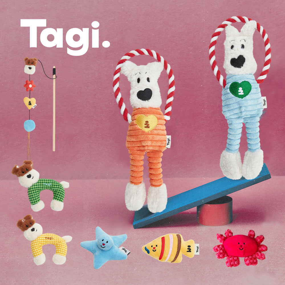 Tagi. Pet Toys