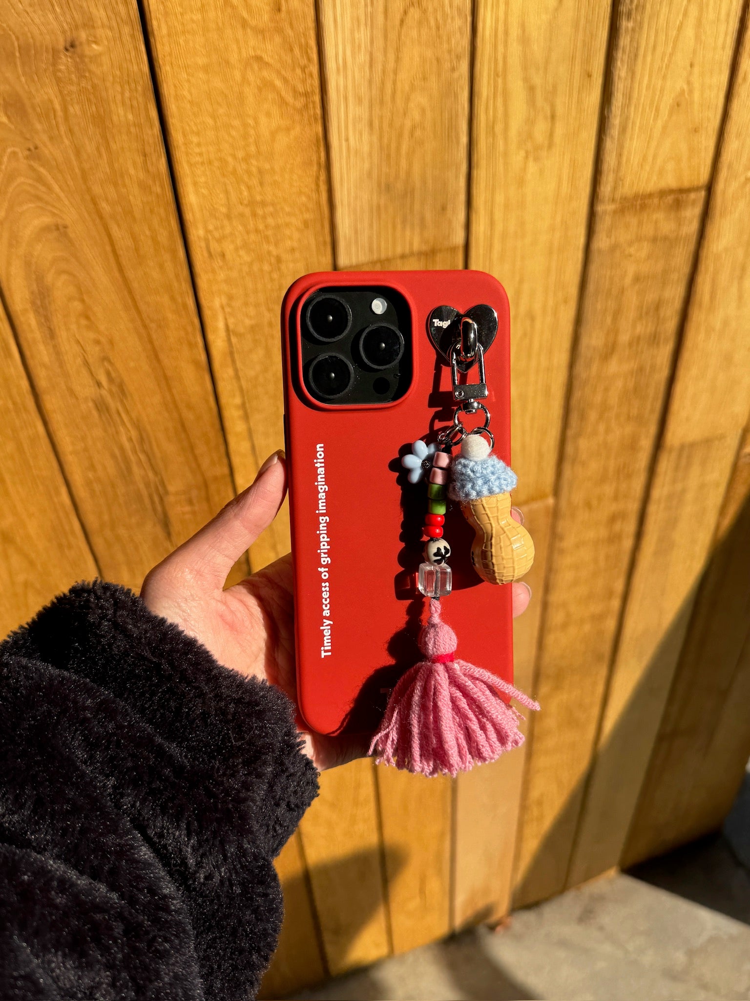 Tagi.Hulu&Peanut liquid silicone magnetic phone case