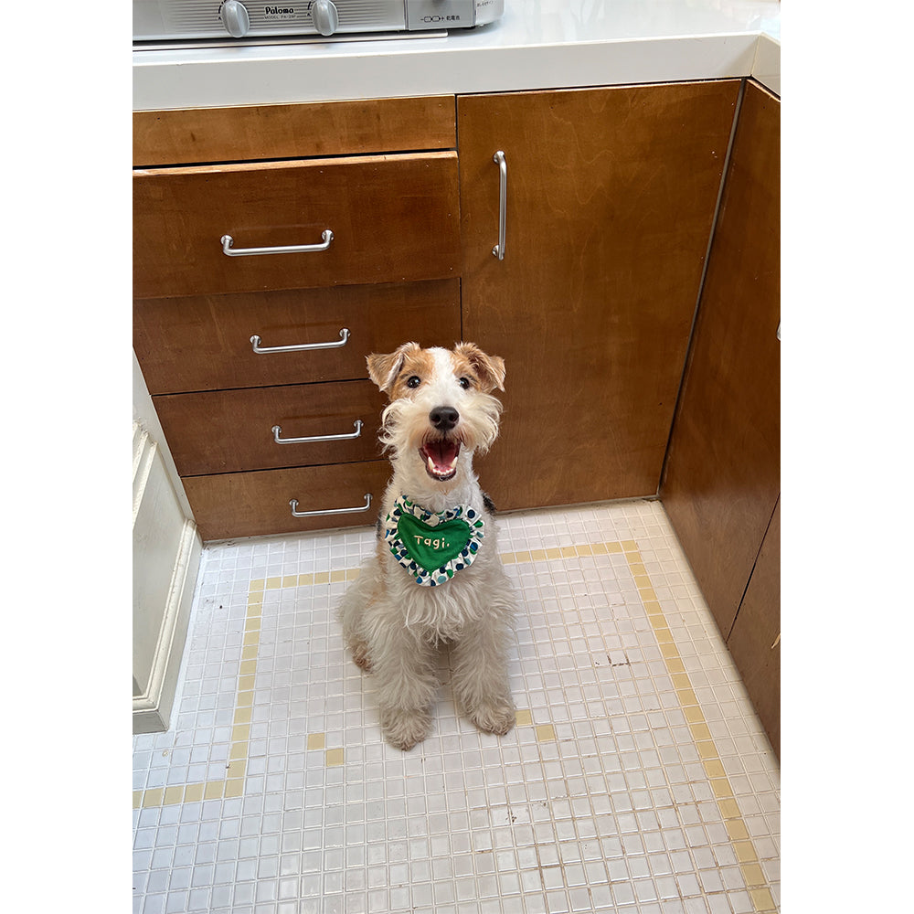 Tagi. Haha Puppy Love Pet Bandana