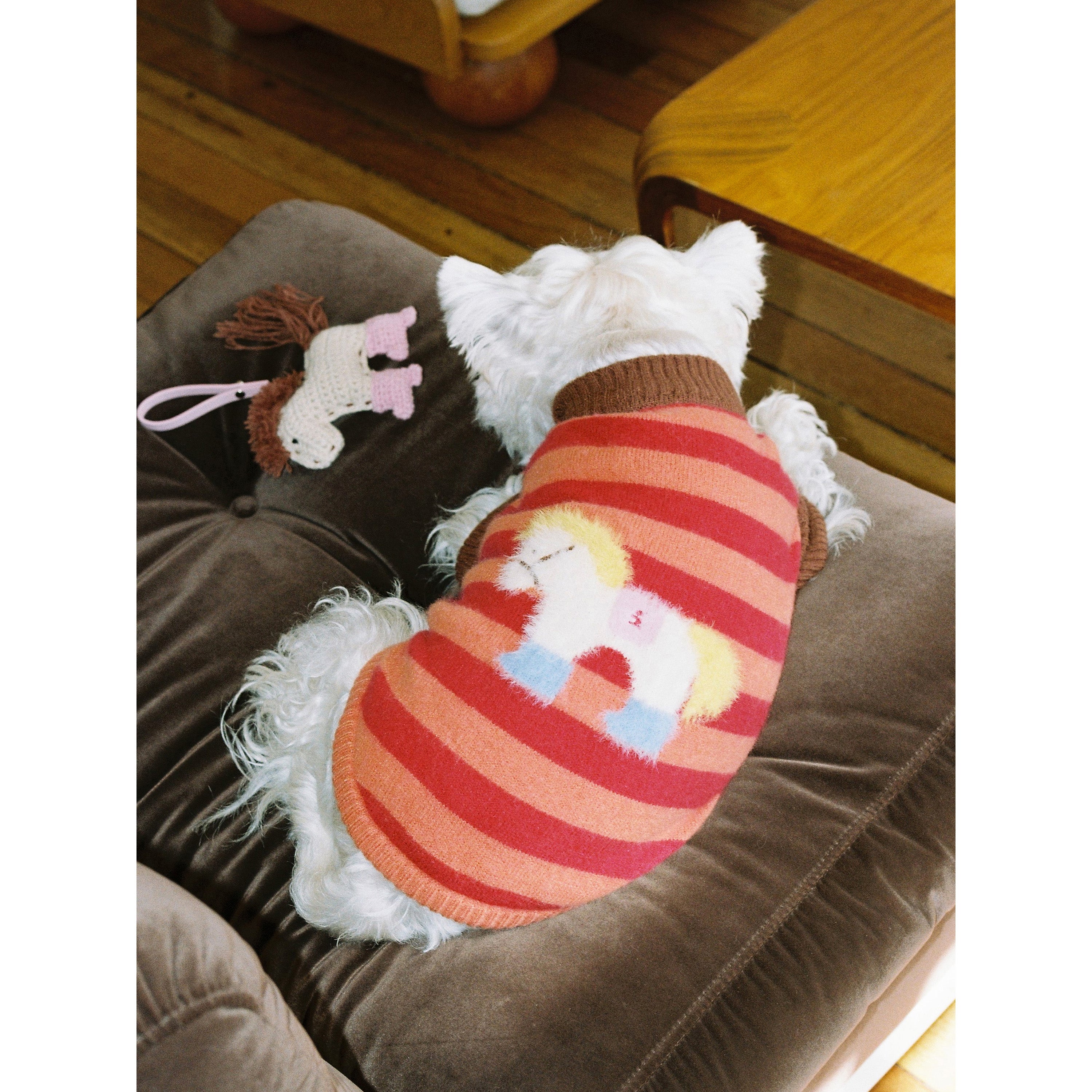 Tagi. Magi Stripes Pet Sweater