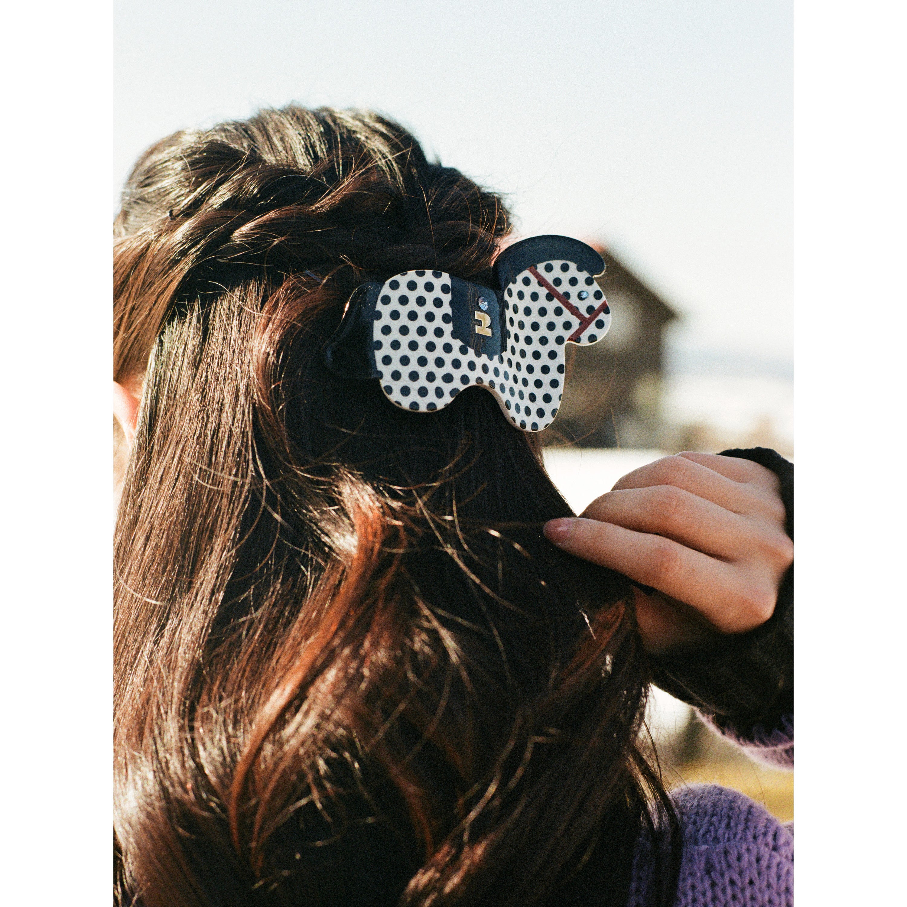 Tagi. Magi Abalone Hairclaw