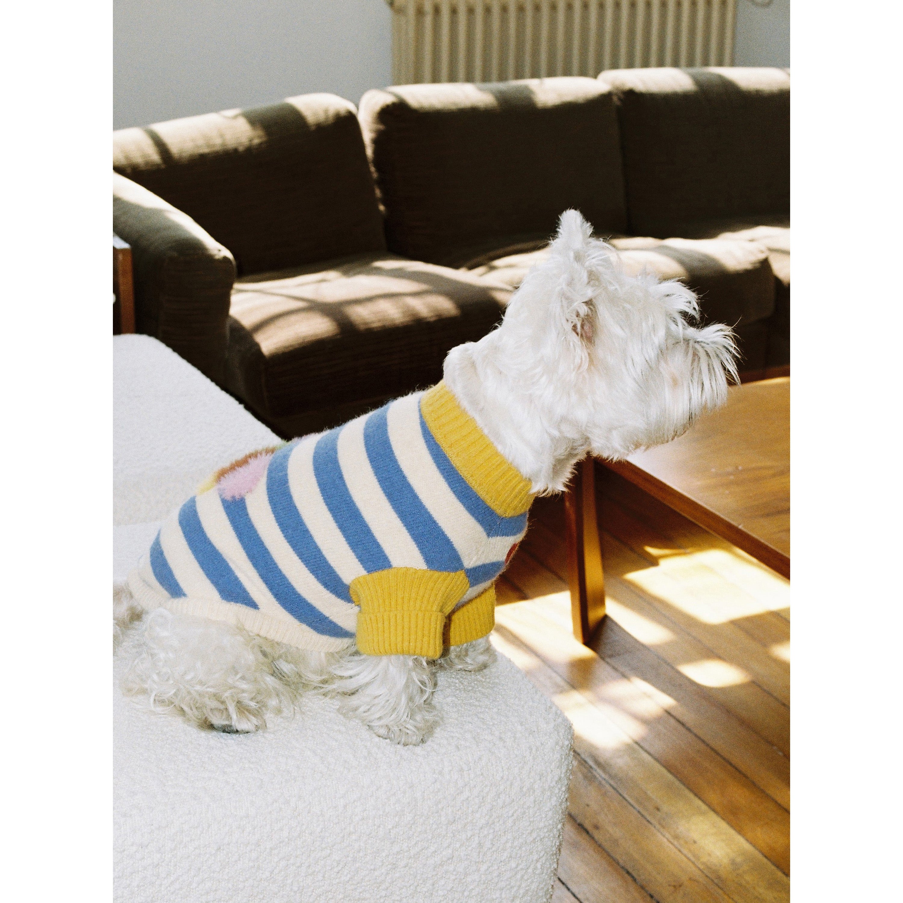 Tagi. Magi Stripes Pet Sweater