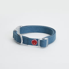 Tagi. Imagine Apple Pet Harness, Collar and Leash