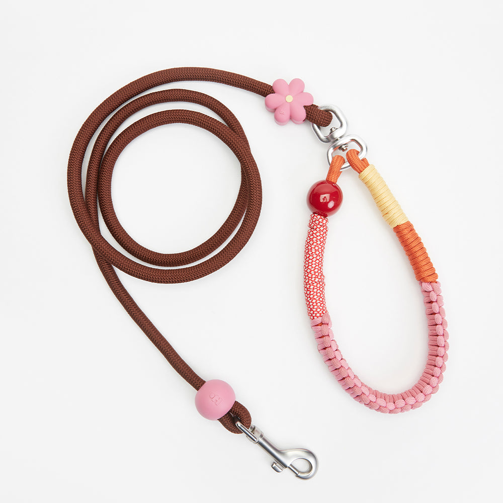 Tagi. Imagine Apple Pet Harness, Collar and Leash
