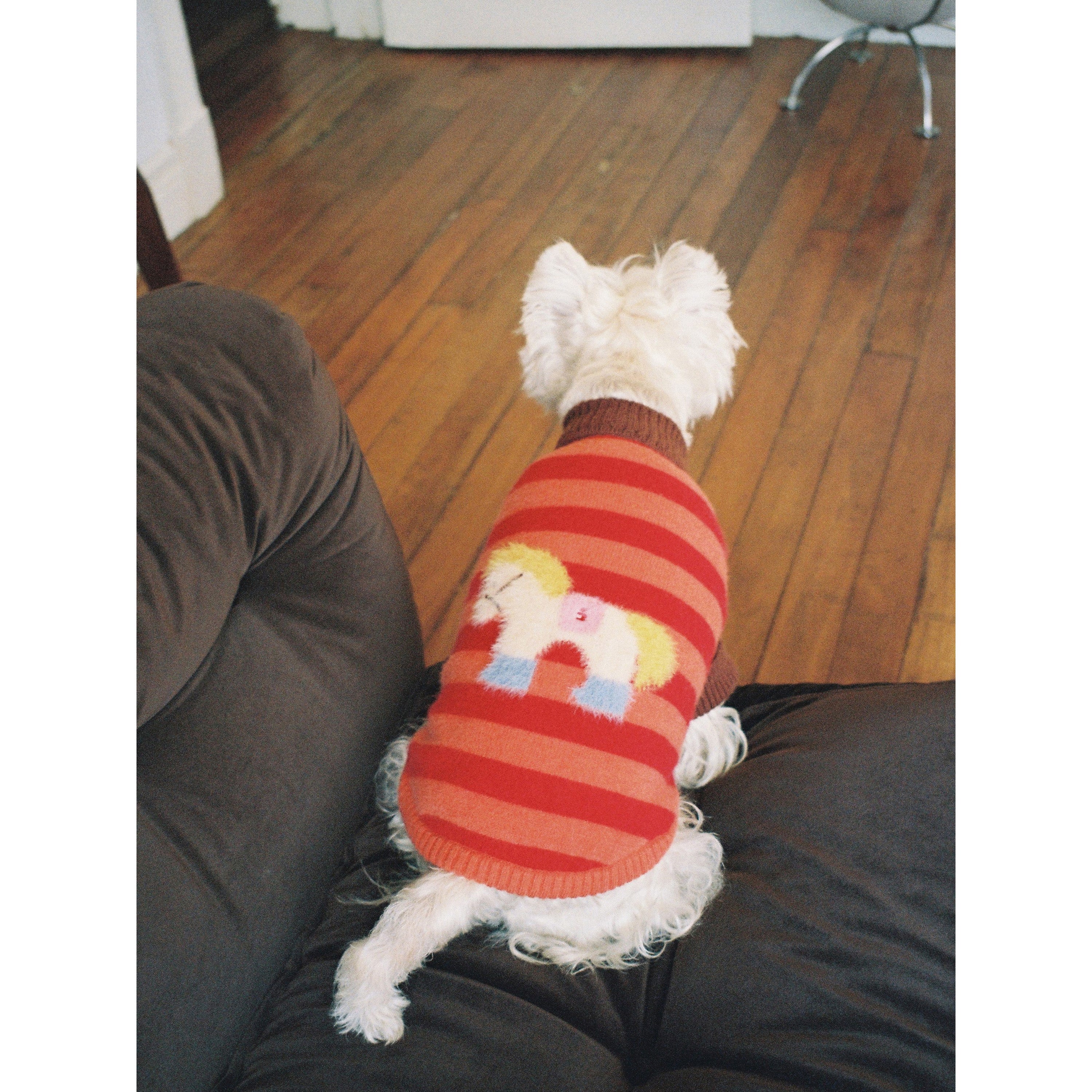 Tagi. Magi Stripes Pet Sweater