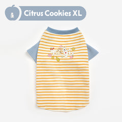 Tagi.Haha& Popcorn Pet Raglan Stripe T-shirt