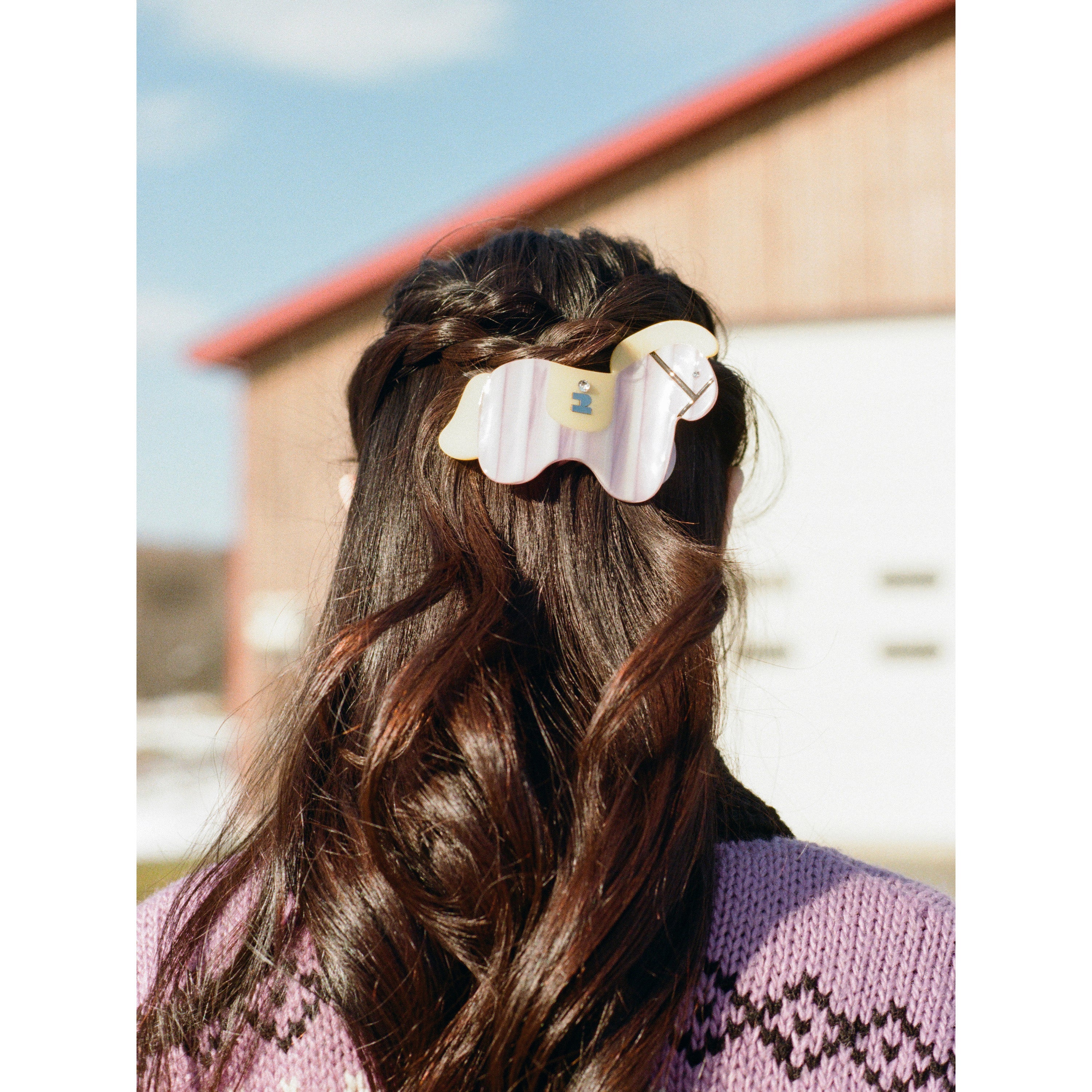 Tagi. Magi Abalone Hairclaw