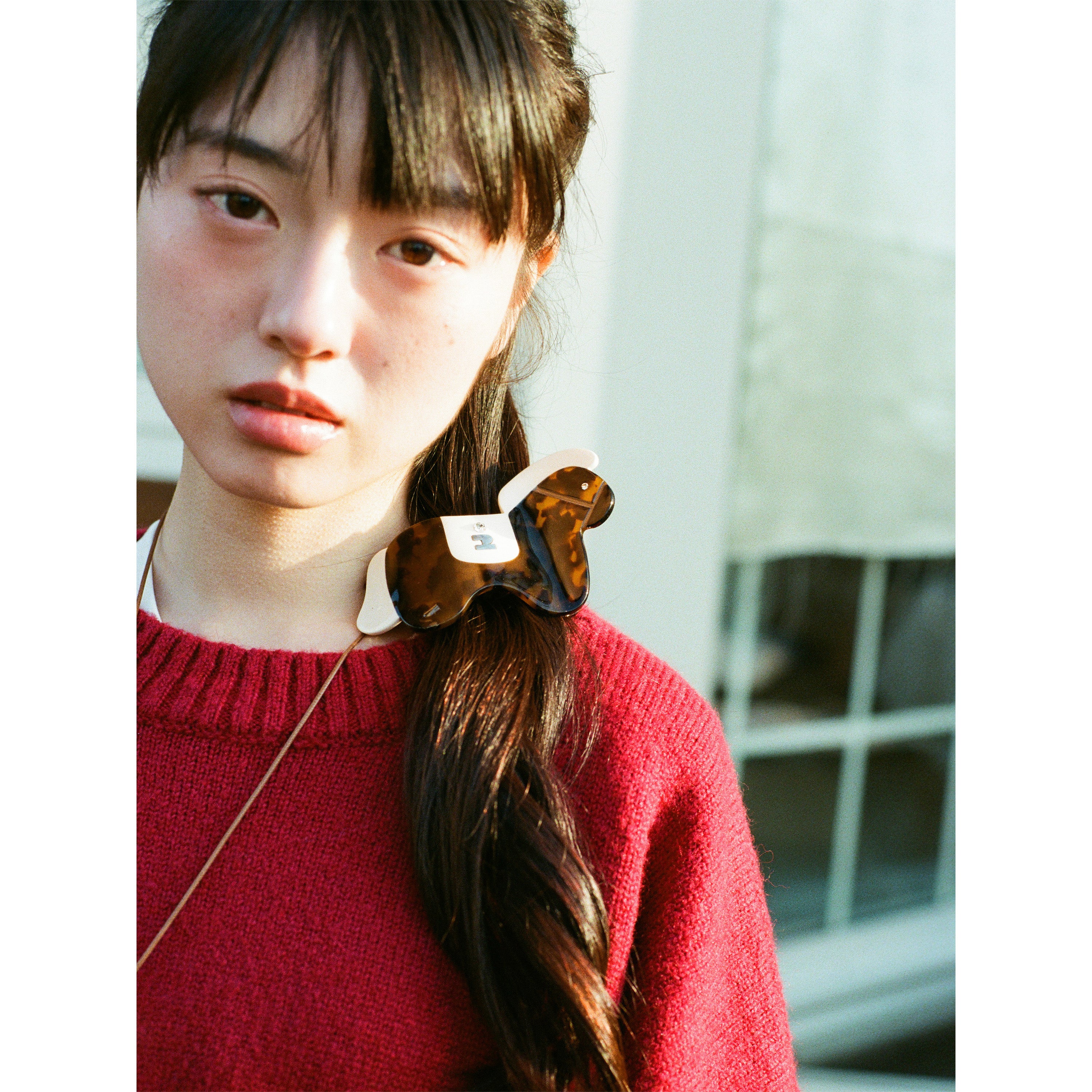 Tagi. Magi Abalone Hairclaw