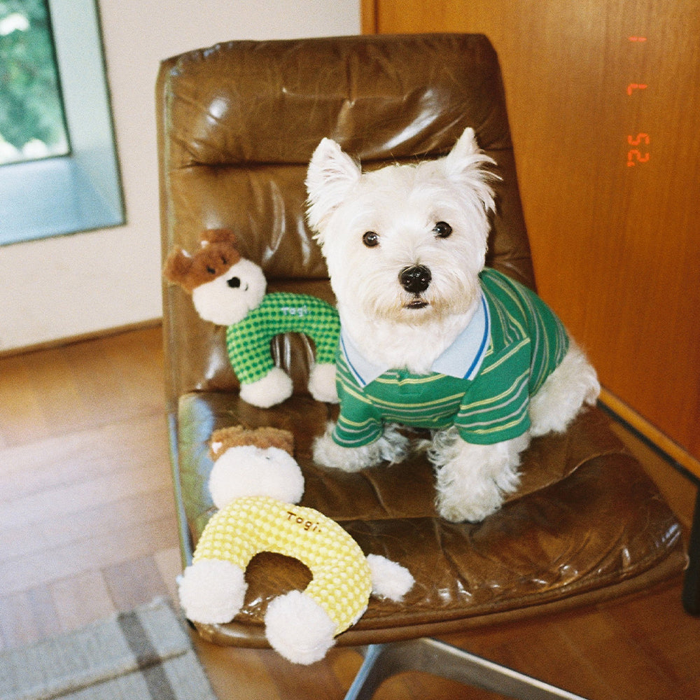 Tagi. Imagine Stripes Pet Polo T-Shirt
