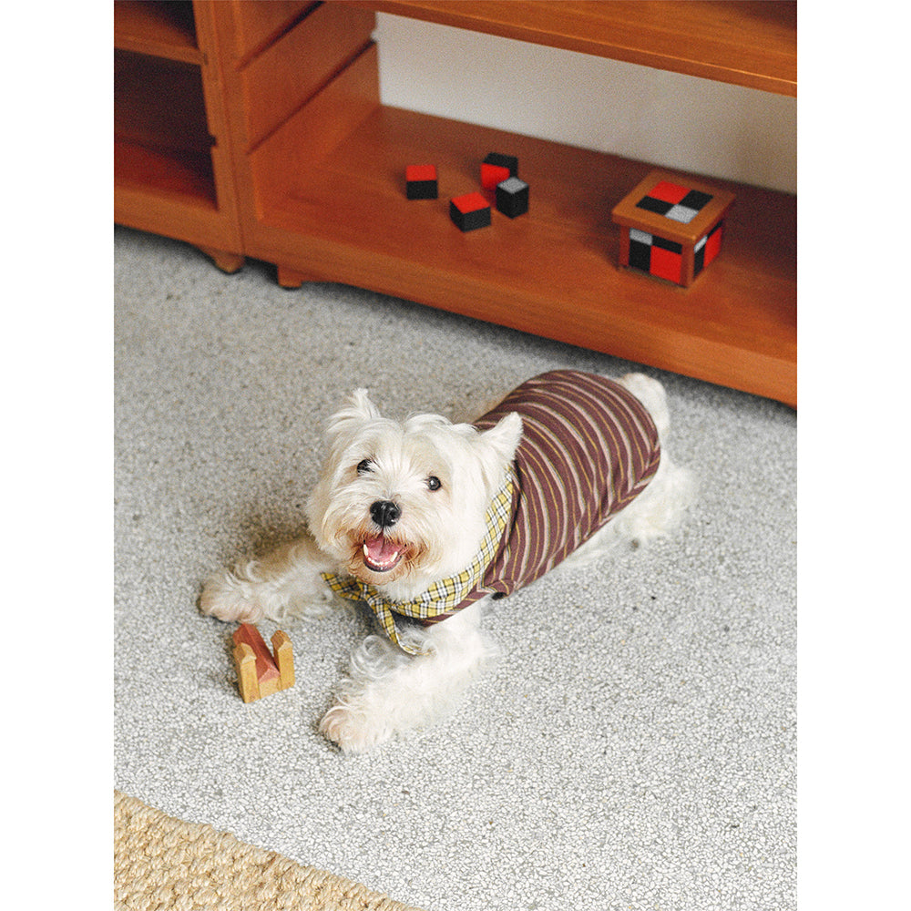 Tagi. Stripes Bowtie Pet Clothes