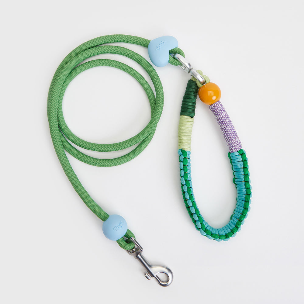 Tagi. Imagine Apple Pet Harness, Collar and Leash