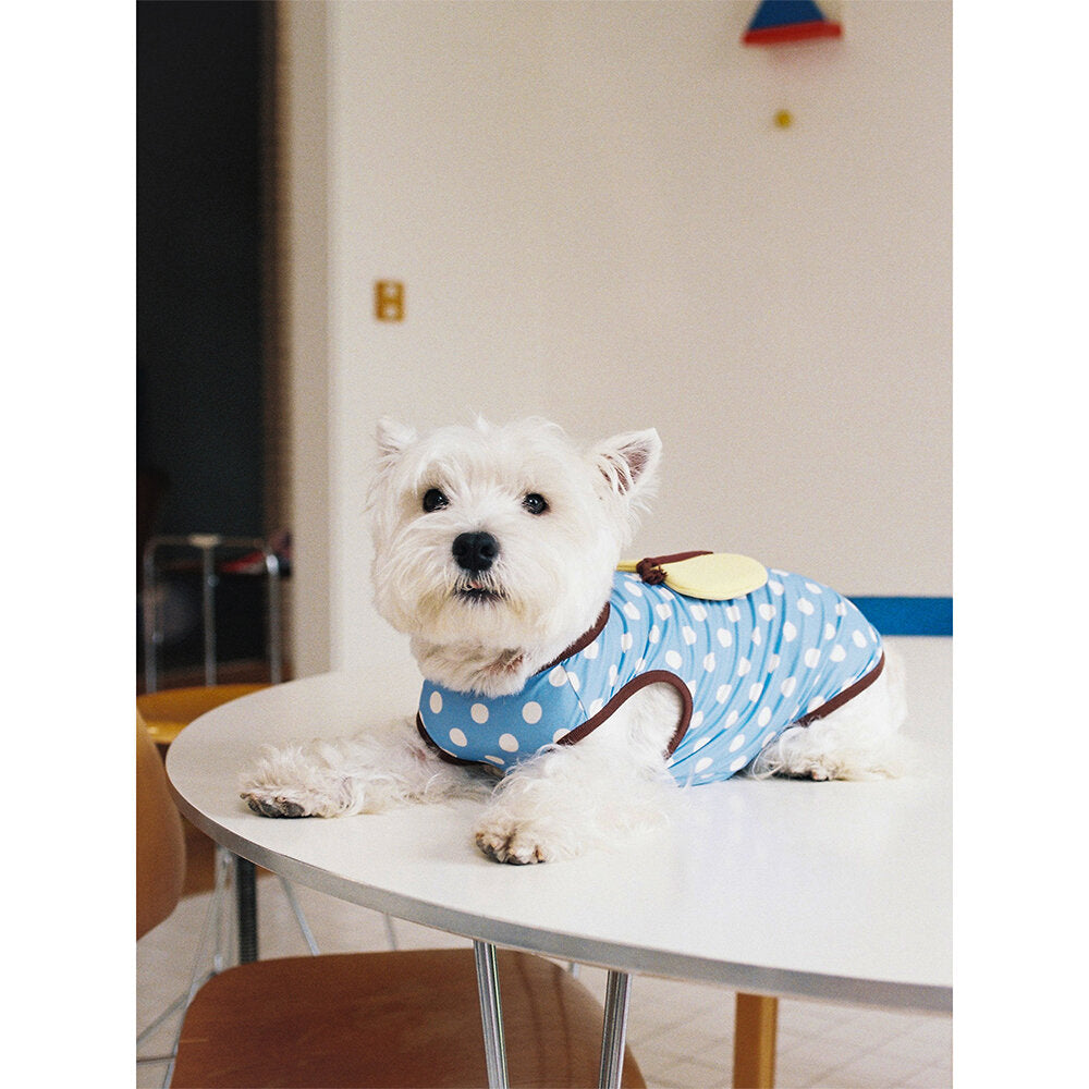Tagi. Pet Cooling Vest