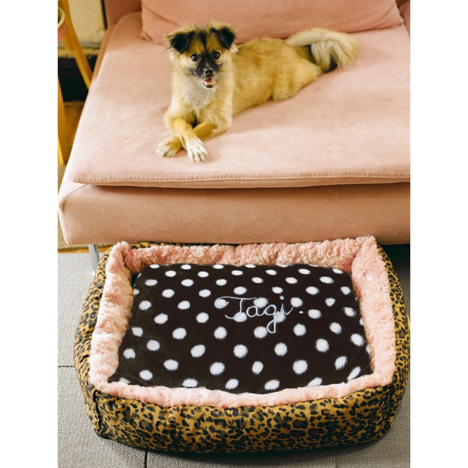 Tagi. Game-Knob Removable Washable Dog Bed