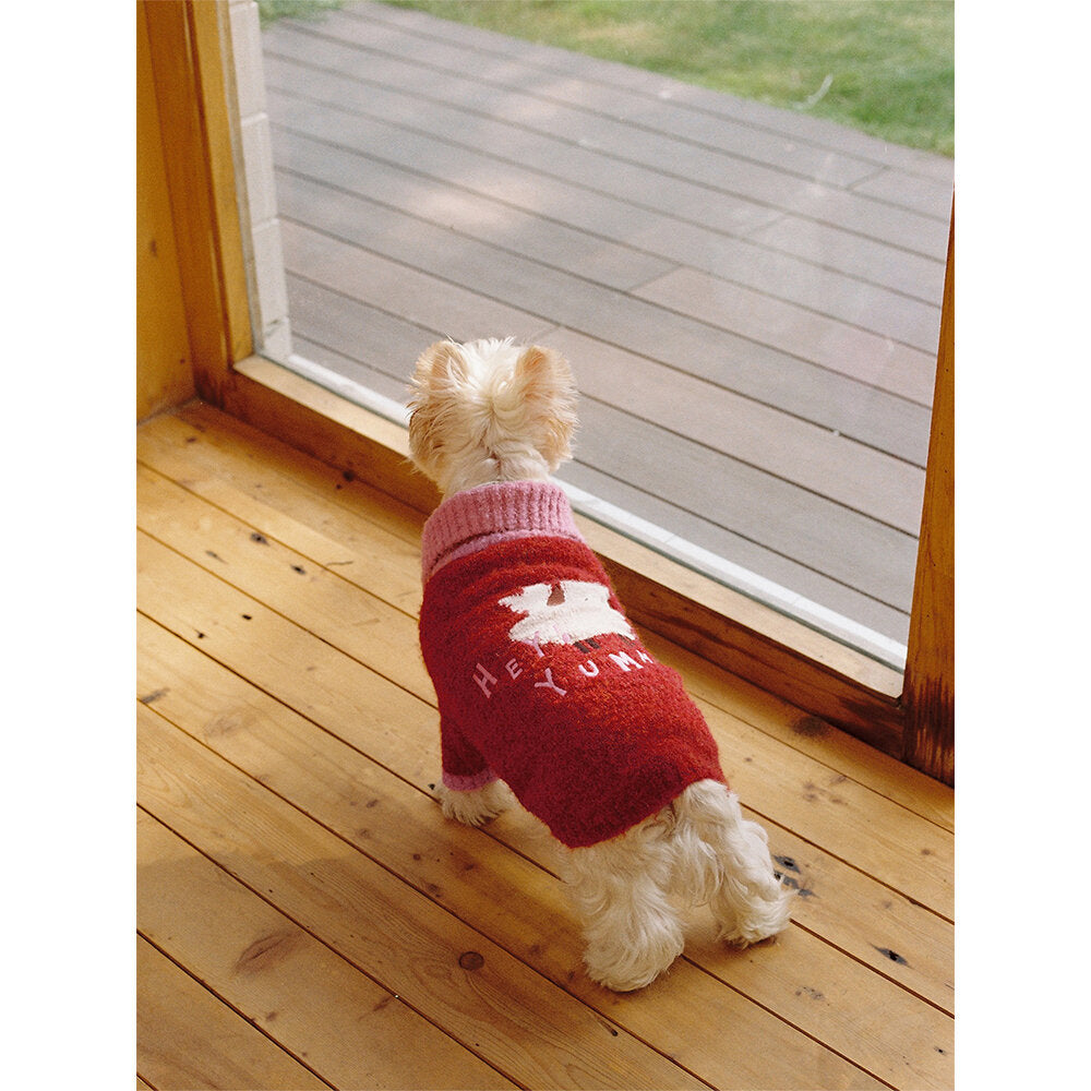 Tagi. Yummy Circle Fleece Pet Sweater