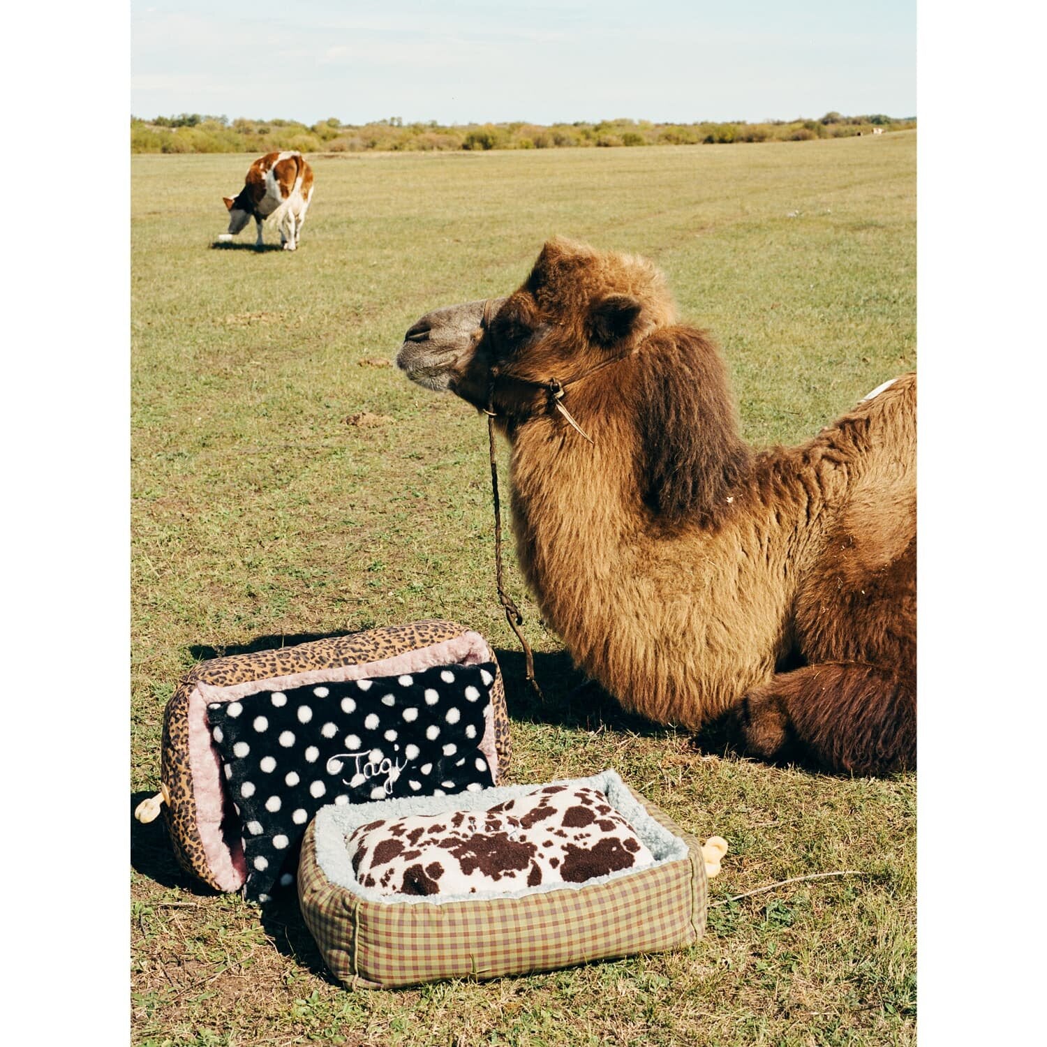 Tagi. Game-Knob Removable Washable Dog Bed