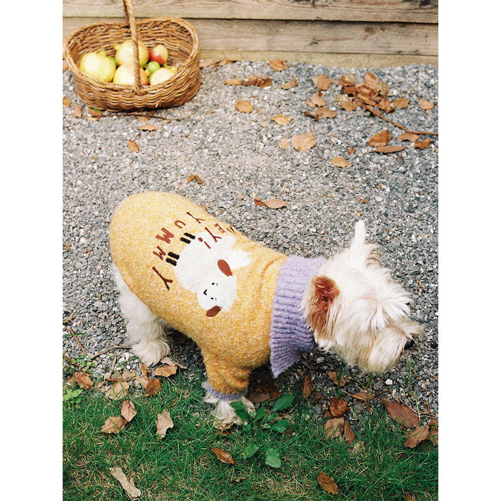 Tagi. Yummy Circle Fleece Pet Sweater