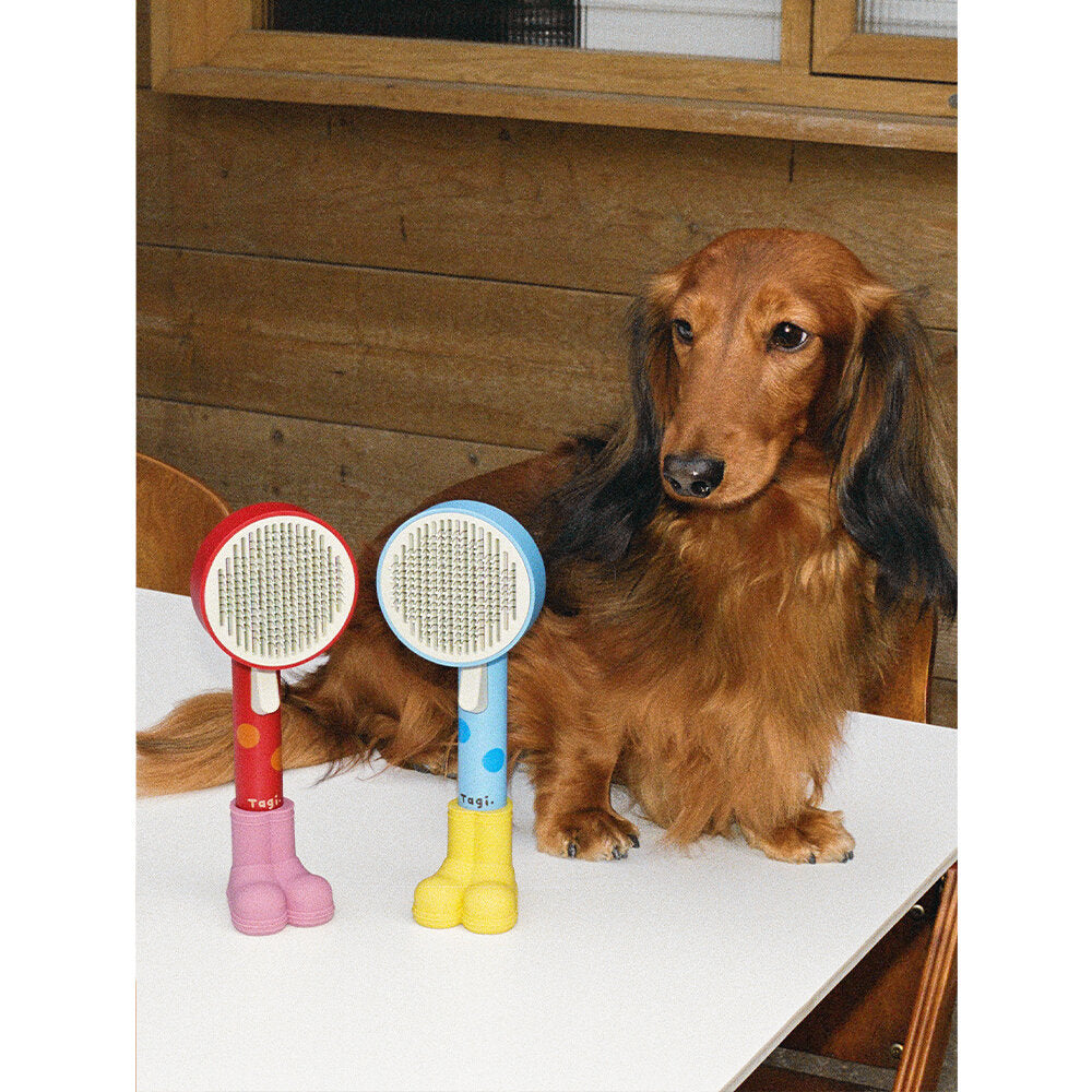 Tagi. Pet Comb