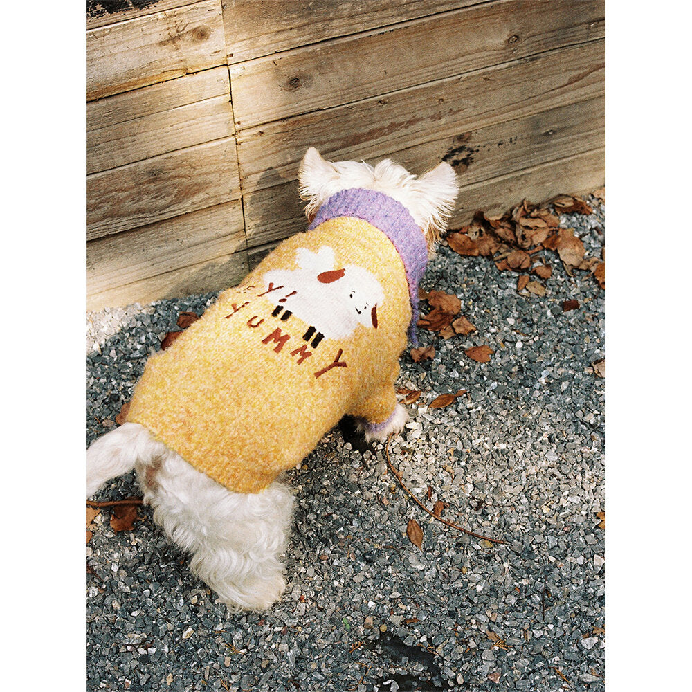 Tagi. Yummy Circle Fleece Pet Sweater