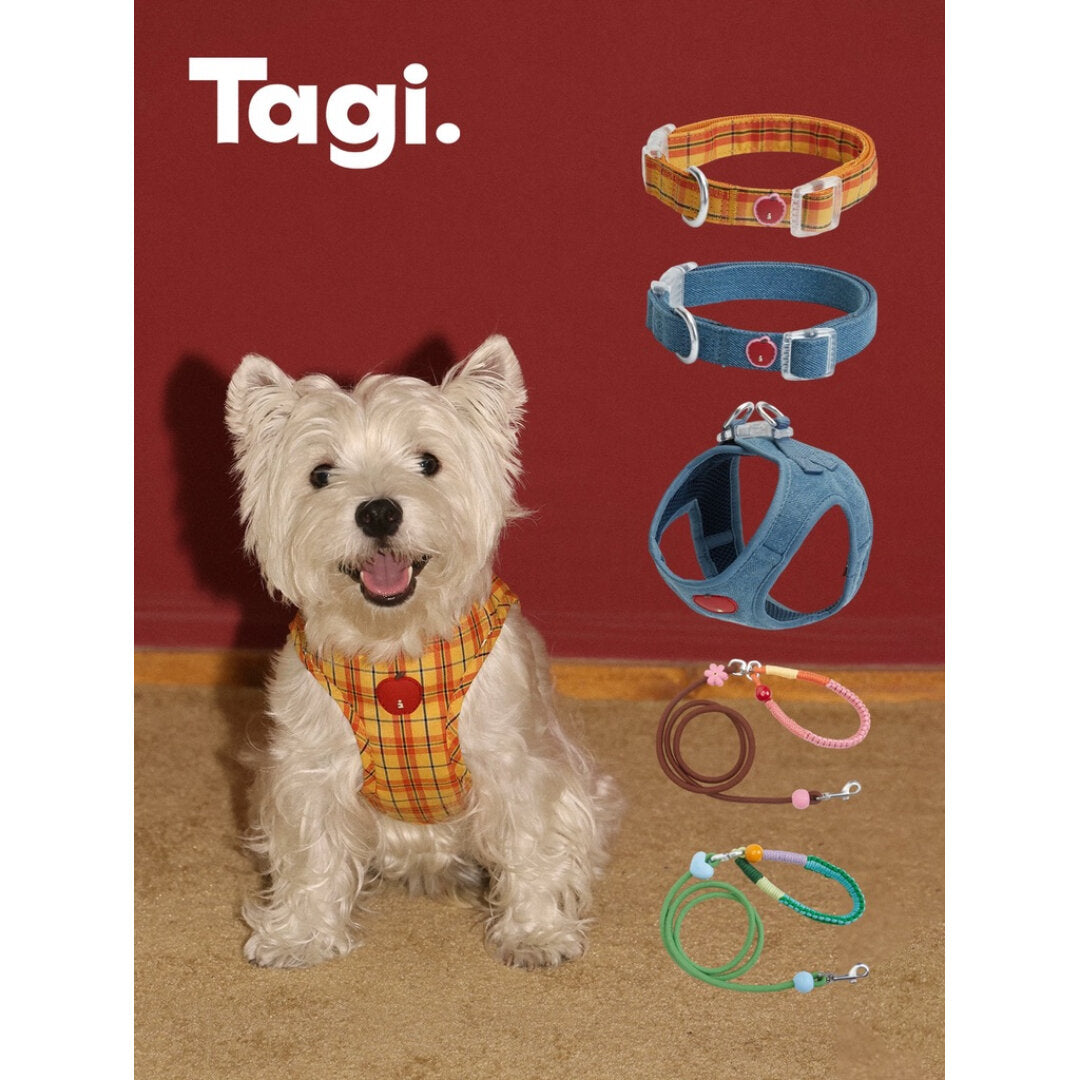 Tagi. Imagine Apple Pet Harness, Collar and Leash