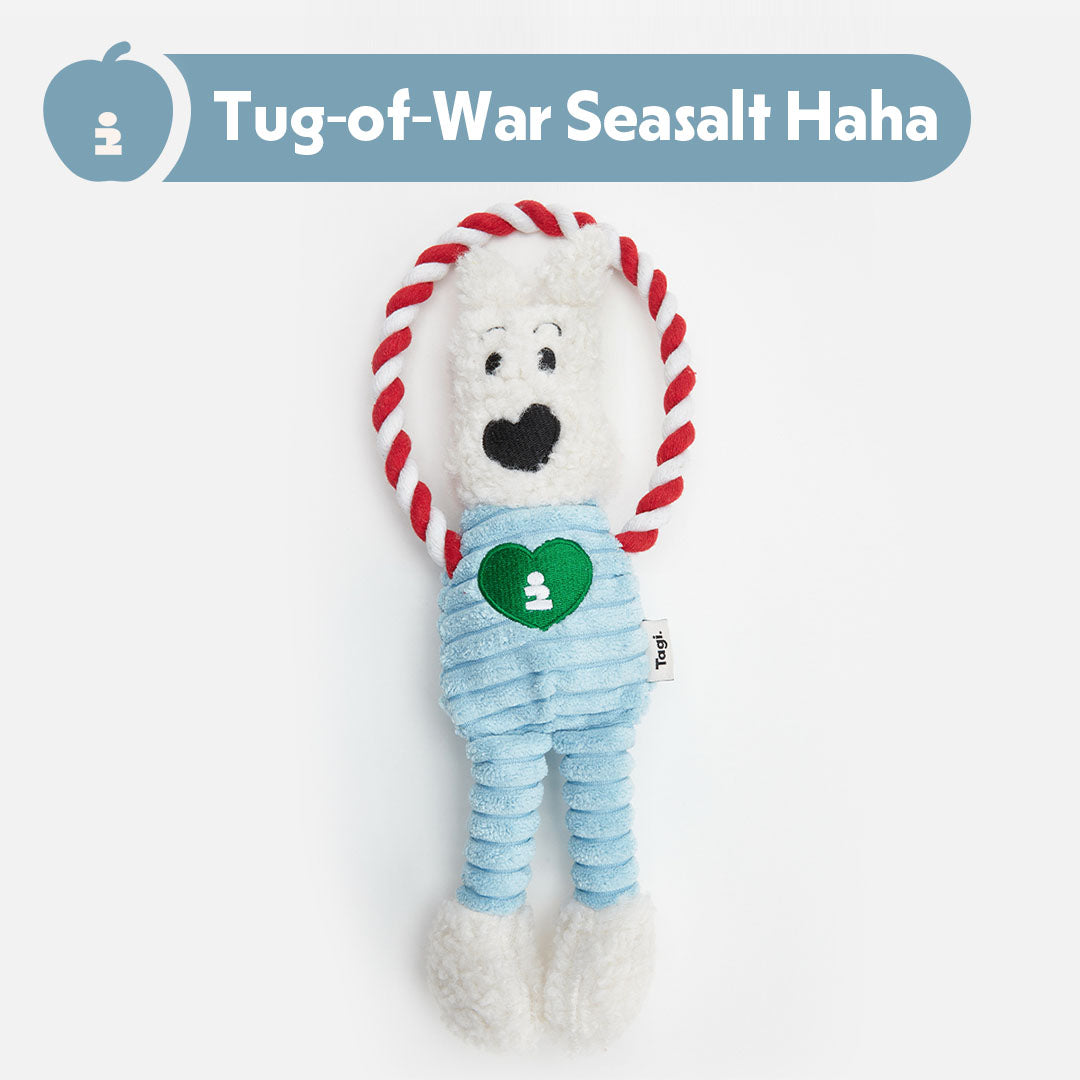 Tagi. Pet Toys