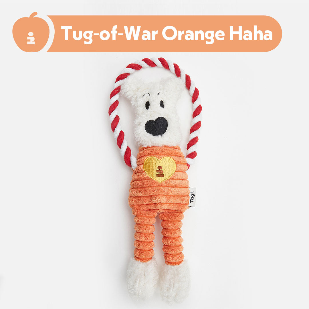 Tagi. Pet Toys