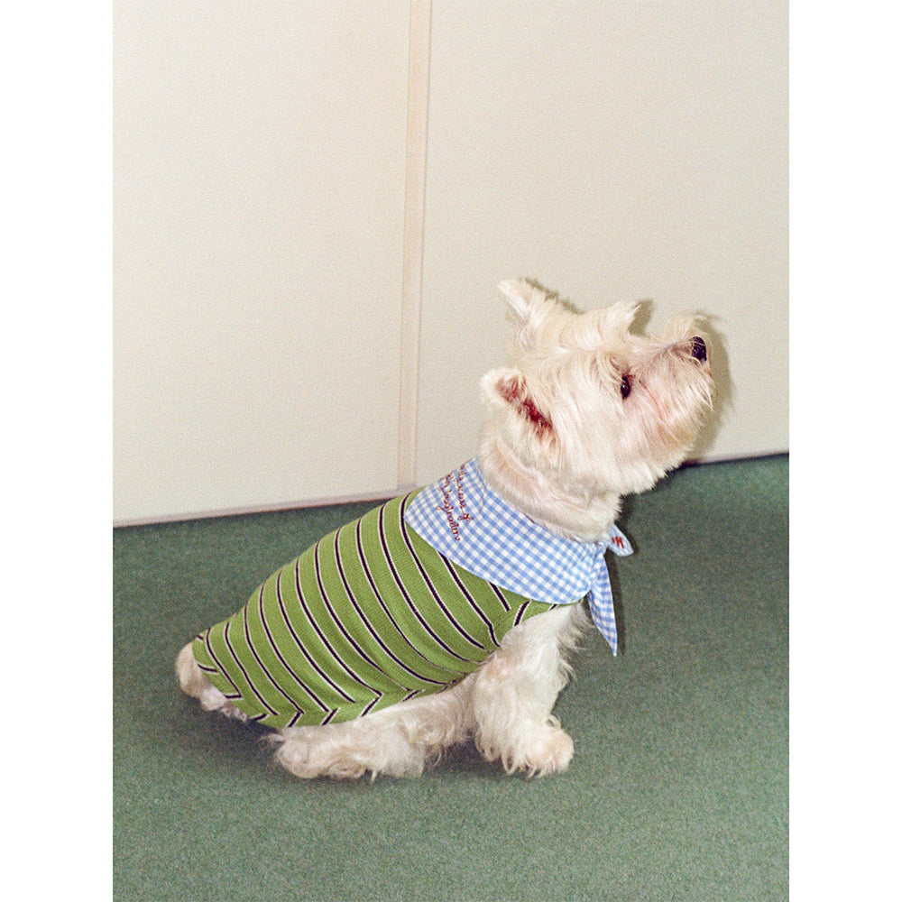 Tagi. Stripes Bowtie Pet Clothes