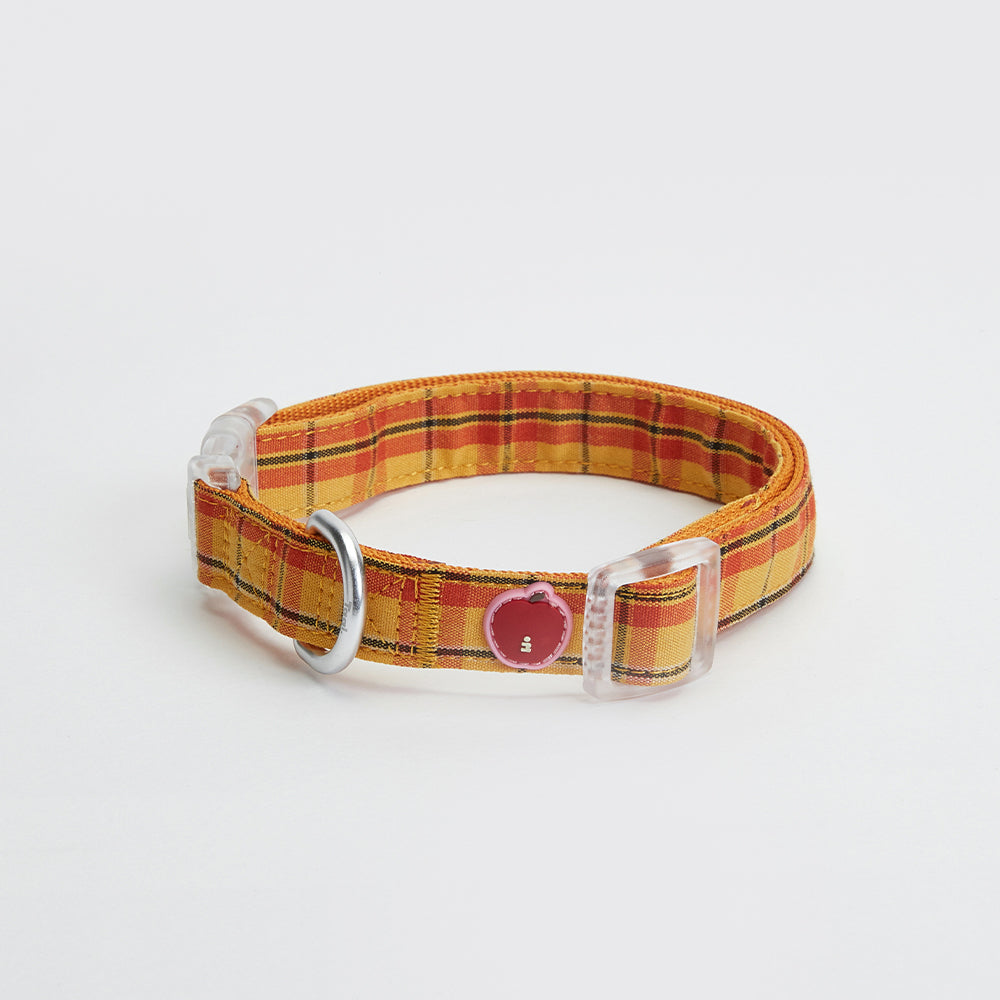 Tagi. Imagine Apple Pet Harness, Collar and Leash