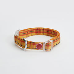 Tagi. Imagine Apple Pet Harness, Collar and Leash