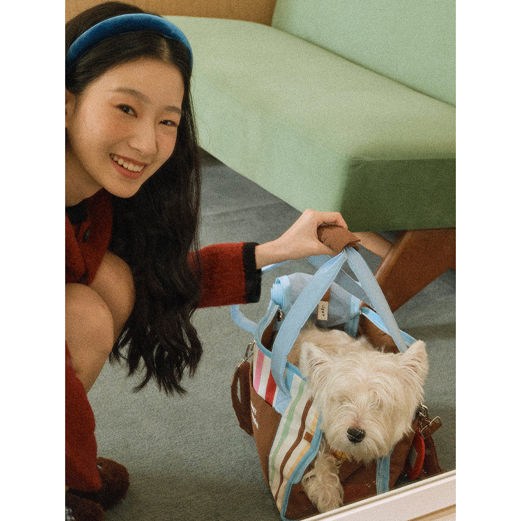 Tagi. Daily Stripe Pet Car Travel Bag